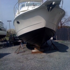 John Palanci