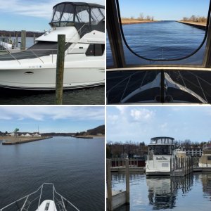 Nauti-Ness