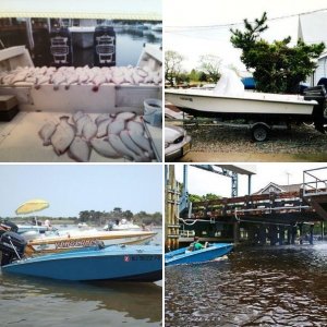 Other Boats
