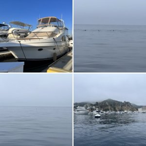 Kokomo Catalina 2023