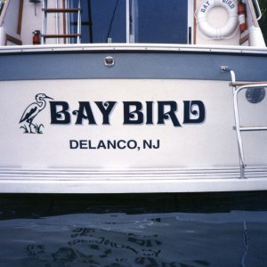 1986 34C STERN