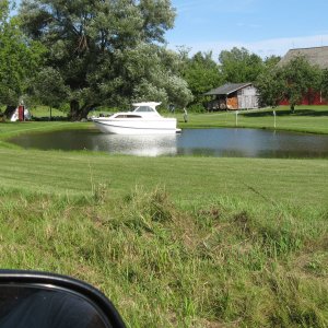 IMG_0317_3