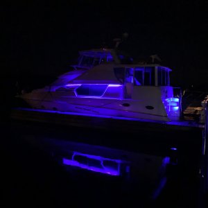 IMG_7521.jpeg