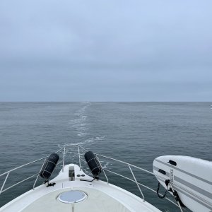 IMG_4346.JPG