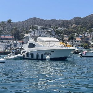 IMG_4568.JPG