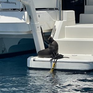 IMG_4573.JPG