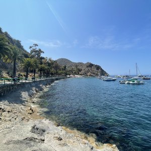 IMG_4577.JPG