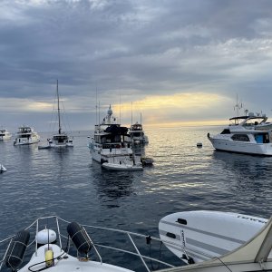 IMG_4694.JPG