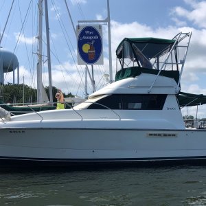 Port Annapolis 1.JPG