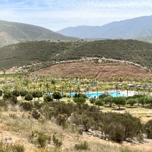 IMG_7235.JPG