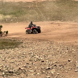 IMG_7249.JPG