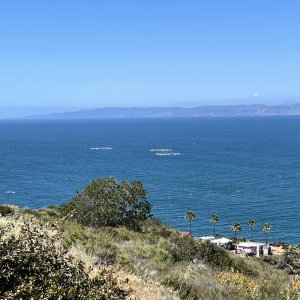IMG_7264.JPG