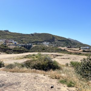 IMG_7265.JPG