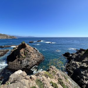 IMG_7272.JPG