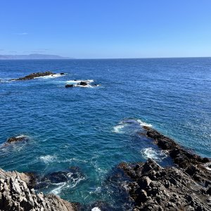IMG_7276.JPG