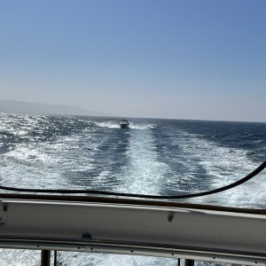 IMG_7426.JPG