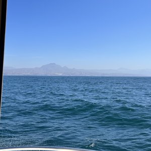 IMG_7429.JPG