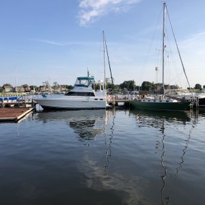 IMG_7242.jpg