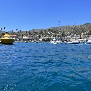 IMG_2870.jpeg