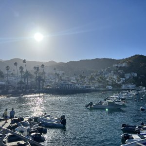 IMG_2879.jpeg