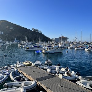 IMG_2881.jpeg