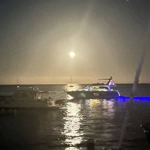 IMG_2886.jpeg