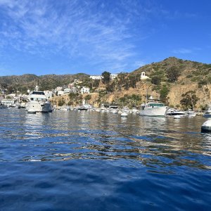 IMG_2888.jpeg