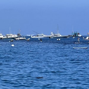 IMG_2967.jpeg