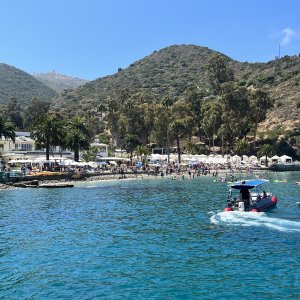 IMG_2969.jpeg