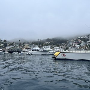 IMG_2977.jpeg
