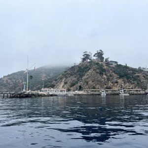 IMG_2979.jpeg