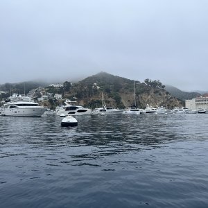 IMG_2981.jpeg