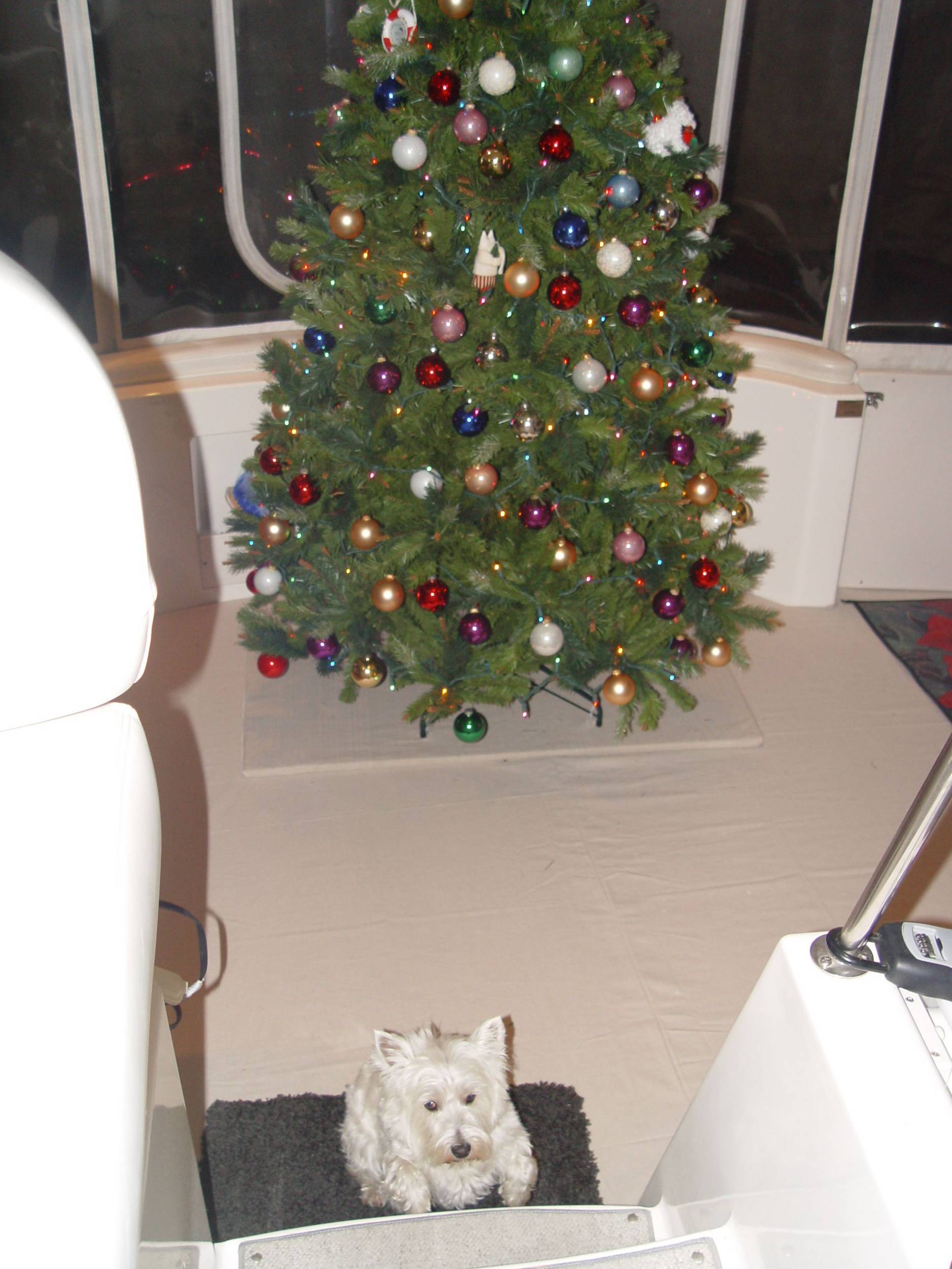 Getting Ready for XMAS w/a Little Help