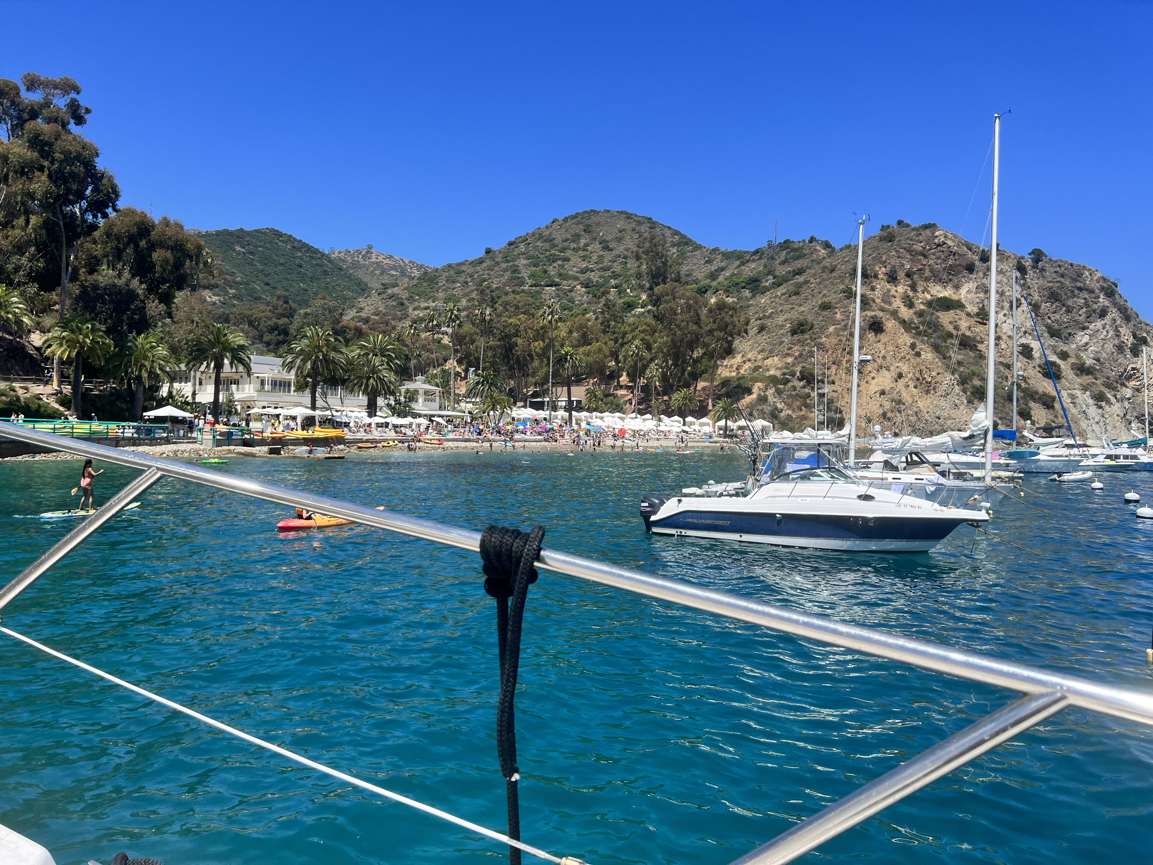 IMG_2965.jpeg